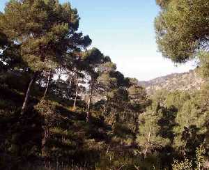 Sierra de Salinas 
