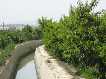 acequia