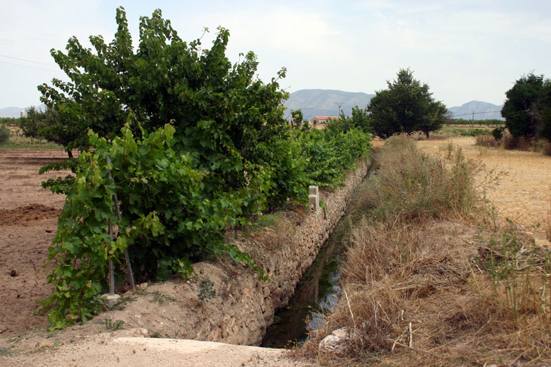 Vista de la Acequia [Singla]. 