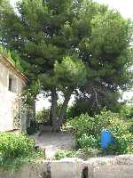 Paisajes de Ceut a Los Torraos