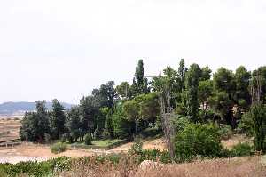 Vista de Finca el Molino 