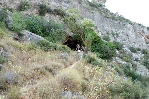 Cueva Negra del Ro Qupar 