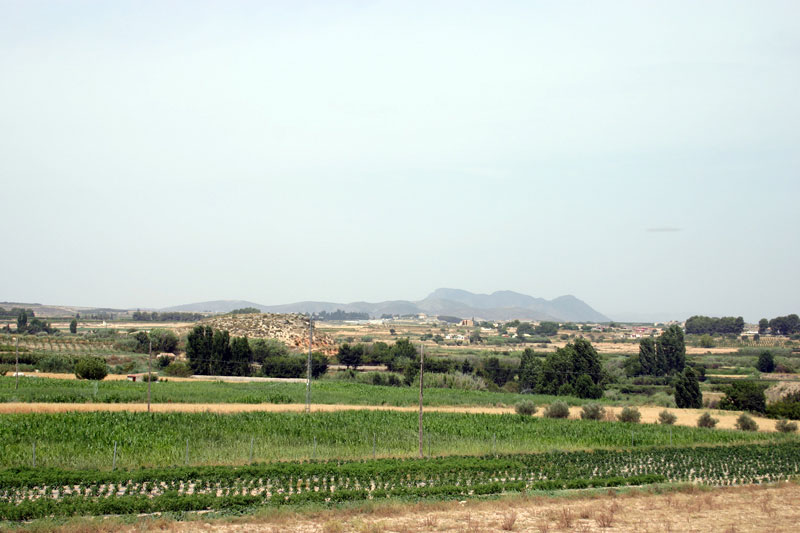 Huertas y Paisaje de La Encarnacin [La Encarnacin]. 