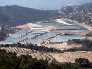 Salinas de la Rosa [Parque Regional Sierra del Carche]