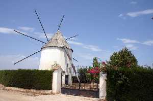 Molino de los Garres en Balsicas (Torre Pacheco) 