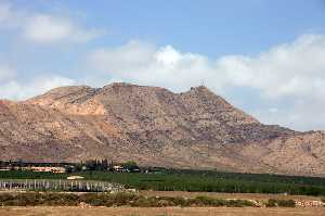 Vista del Cabezo Gordo (Torre Pacheco) 