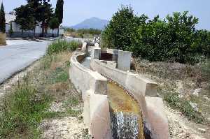 Acequia 