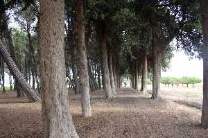 Jardn del Casero La Vereda 