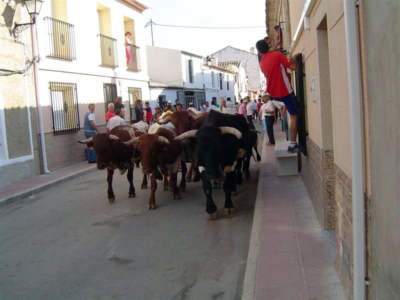 Fiestas de El Sabinar [El Sabinar]. 