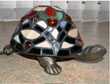 tortuga