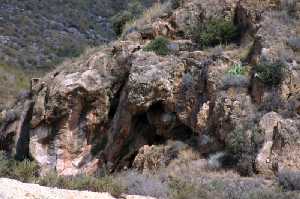 Cueva del Palomar 