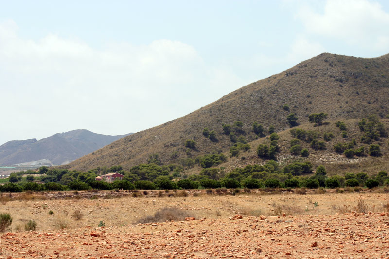 Paraje Natural Los Alamicos [La Majada]. 