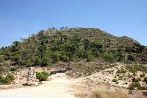 Parque Natural Sierra de La Pila 