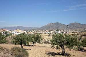 Vista de Olivos y Macisvenda 