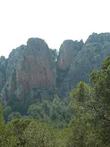 Imagen del Quijar de la Vieja en la Sierra de la Cresta del Gallo. P. R. El Valle y Carrascoy.