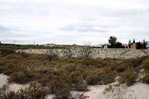 Cordel de Los Valencianos 