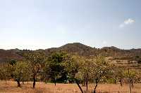 Almendros y vistas del paraje de las Madroeras