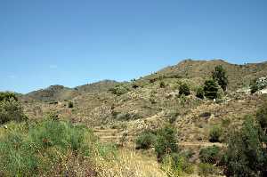 Paraje Natural de la Sierra de la Almenara 