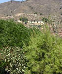 Sierra de la Almenara 