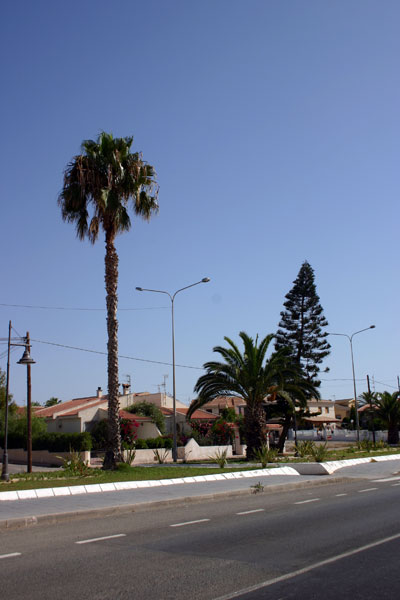 Avenida principal [Calabardina]. 