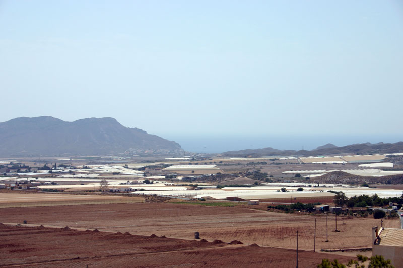 Vista Panormica del campo de Cope [Cope]. 