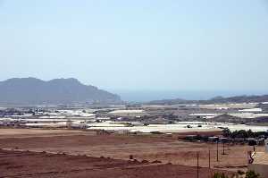 Vista Panormica del campo de Cope 