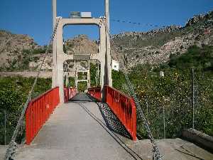 Paseo de las PalmerasPasarela sobre el ro Segura