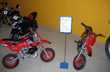 minimoto