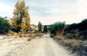 Colada de los Tejadores(Cehegn)