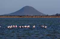 Isla Redonda desde Las Salinas de San Pedro del Pinatar 