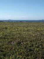 Espectacular primavera en las marinas del Carmol 