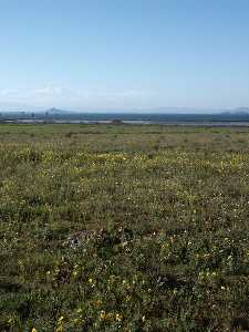 Espectacular primavera en las marinas del Carmol 