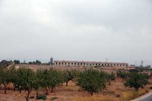 Vista de Almendros y Criaderos 