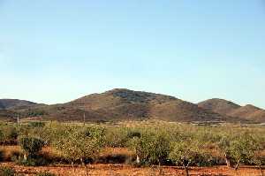 Cabezo del Mojn con Almendros 