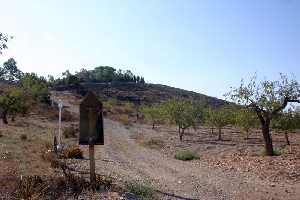 Camino a Ermita Los Cabecicos 