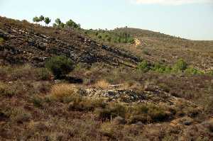 Paraje el Majar de Gracia 