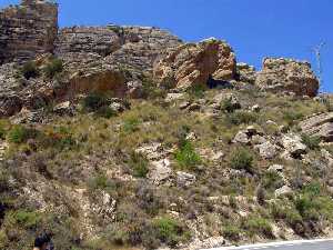 Vista de la ladera en la que se sita el yacimiento del Castillico de las Peas