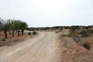 Camino Real de Cnovas (Fuente lamo) 