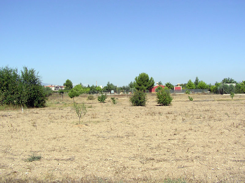 Erial con las Torres de Cotillas al Fondo [Los Pulpites]. 