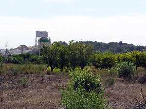 Huerto con Loma al Fondo 