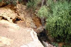 Fuente de la Rambla del Caar 