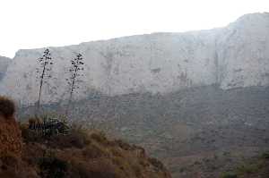 Paisaje de Peas Blancas 