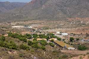 Cultivos e Industrias del Campillo 