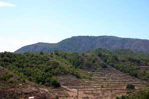 Sierra de la Muela en Galifa 