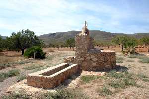 Valle de los Palmitos en Campillo Adentro 