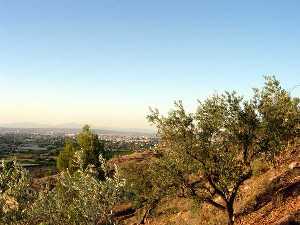 Vista de Murcia desde Algezares 