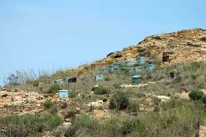 Colmenas en el Cabezo de Roche 