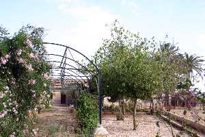 Jardn de la Torre Antoita 