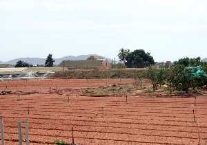 Tierras Cultivadas 