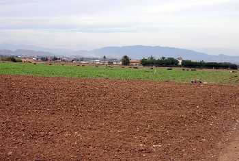 Vistas y cultivos de San Flix (Cartagena) 